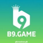 B9 Game